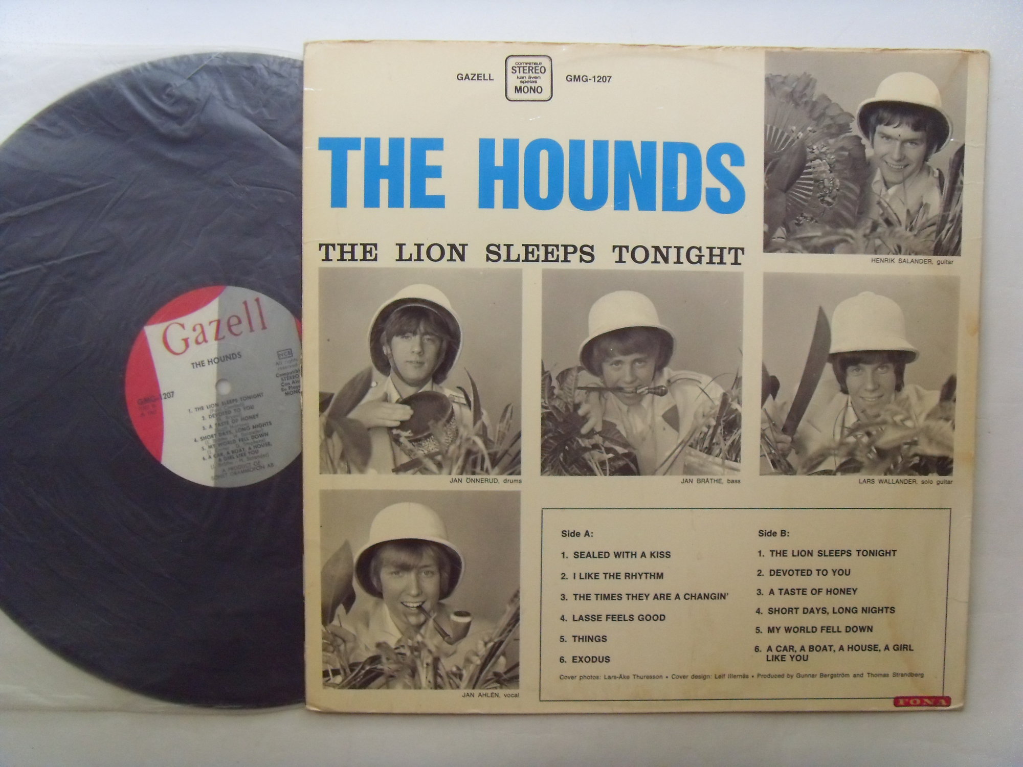 HOUNDS The Lion Sleeps Tonight 2
