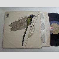 nw000354 (STRAWBS — Dragonfly)
