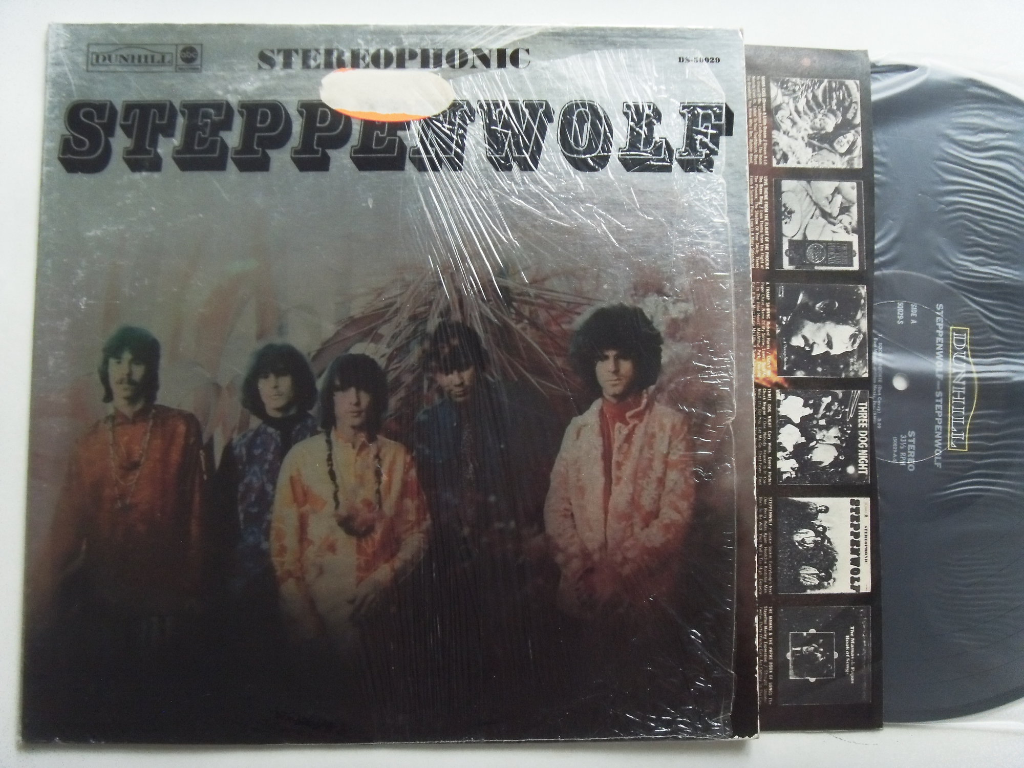 STEPPENWOLF Steppenwolf