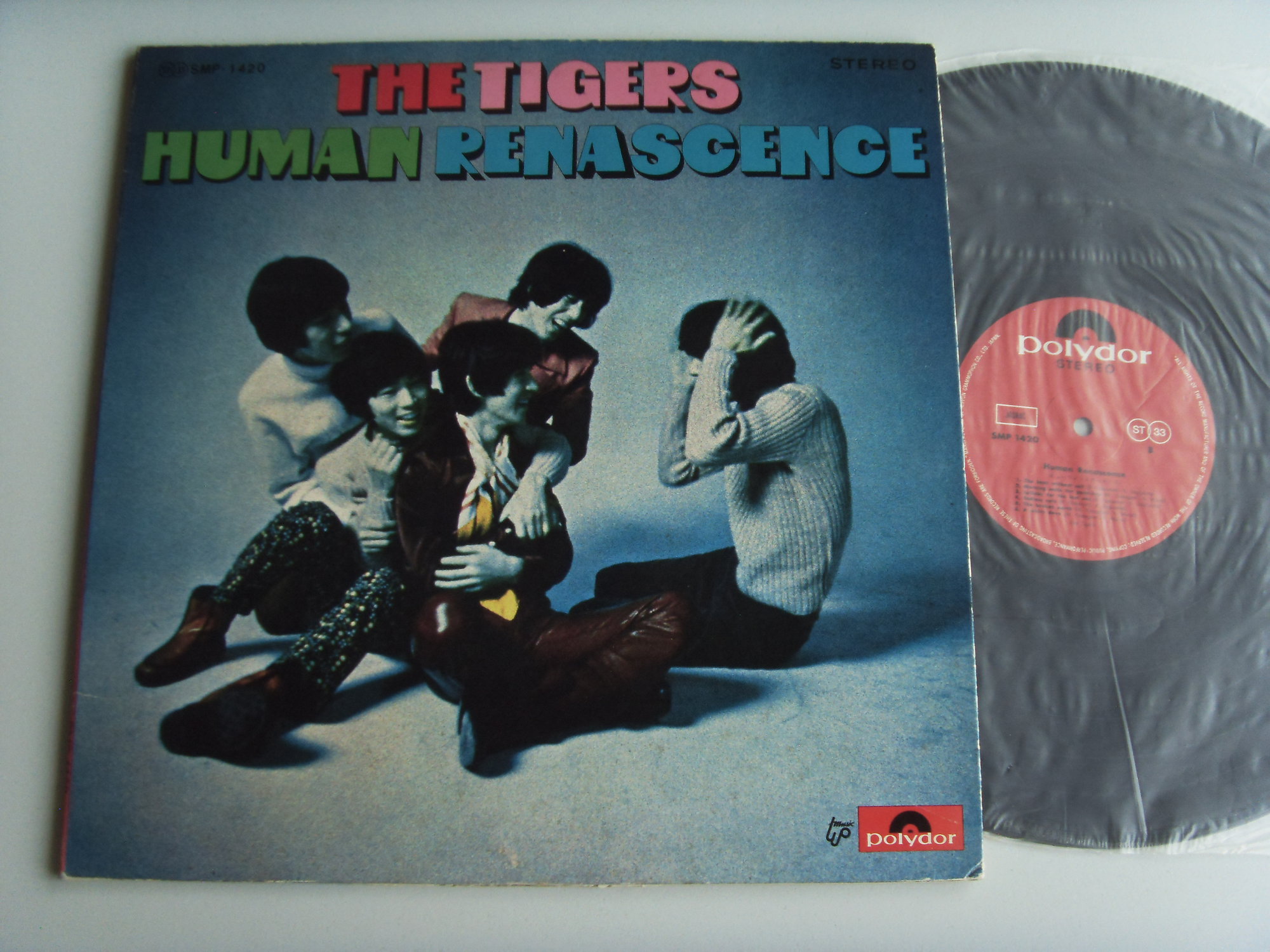 THE TIGERS Human renascence